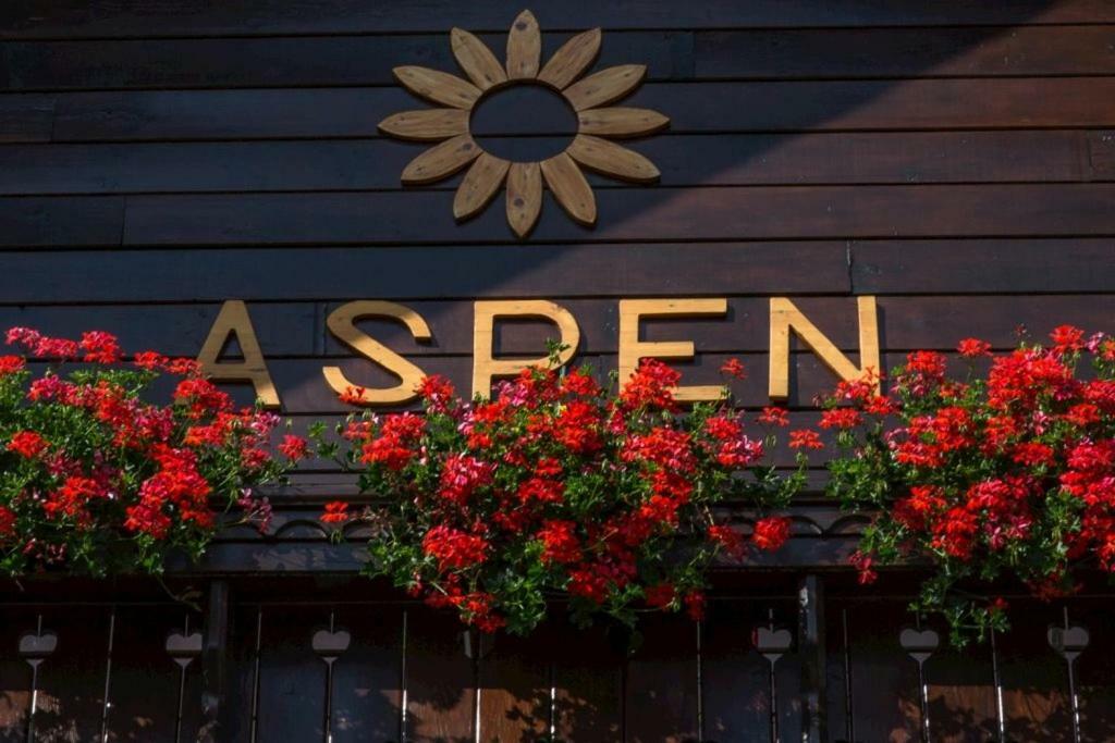 Ferienwohnung Aspen Nová Lesná Exterior foto
