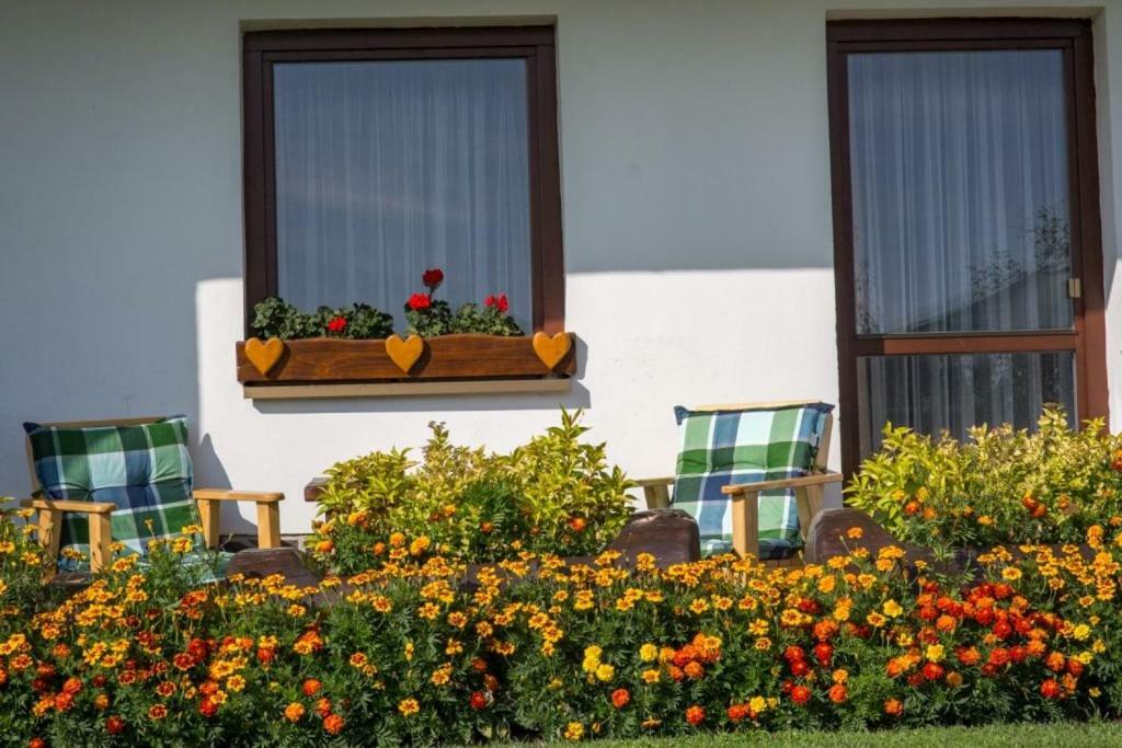 Ferienwohnung Aspen Nová Lesná Exterior foto